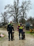 Padova - Calore Filippo - attestato operativo in macerie