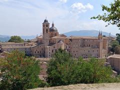 Visita al Palazzo Ducale di Urbino e delle opere di Federico Barocci di Urbino.