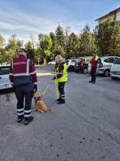 Addestramento operativo con Unità Cinofile OdV AssoPolizia TS