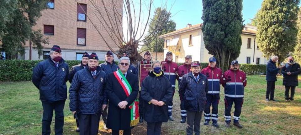 Una targa e un gelso in memoria di Giovanni Palatucci