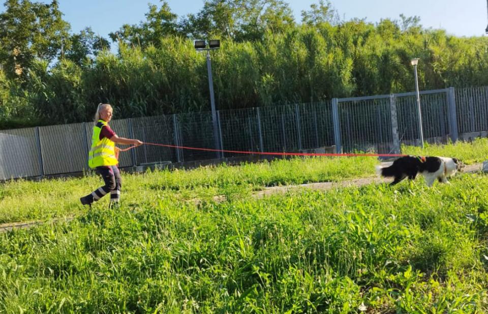 Concorso nelle ricerche di una persona scomparsa