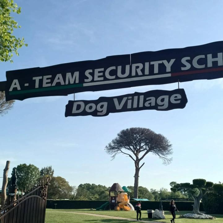 Inaugurazione  Dog Village